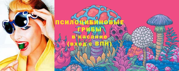 PSILOCYBIN Балабаново